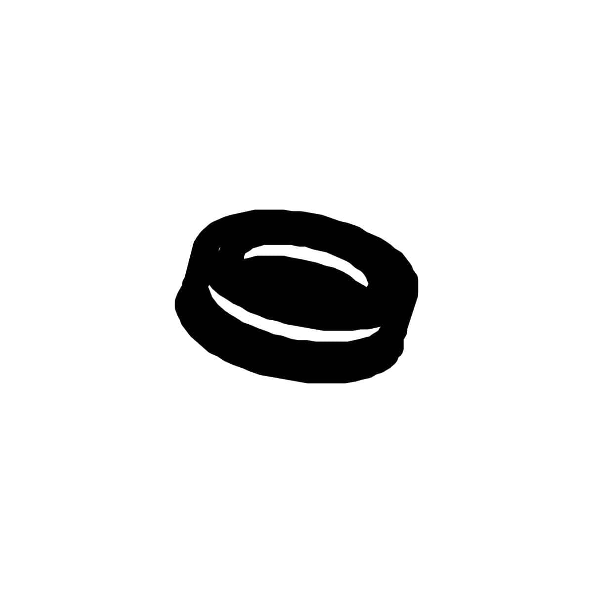 Dichtung V-Ring V16 S - Santos #11 (11308)