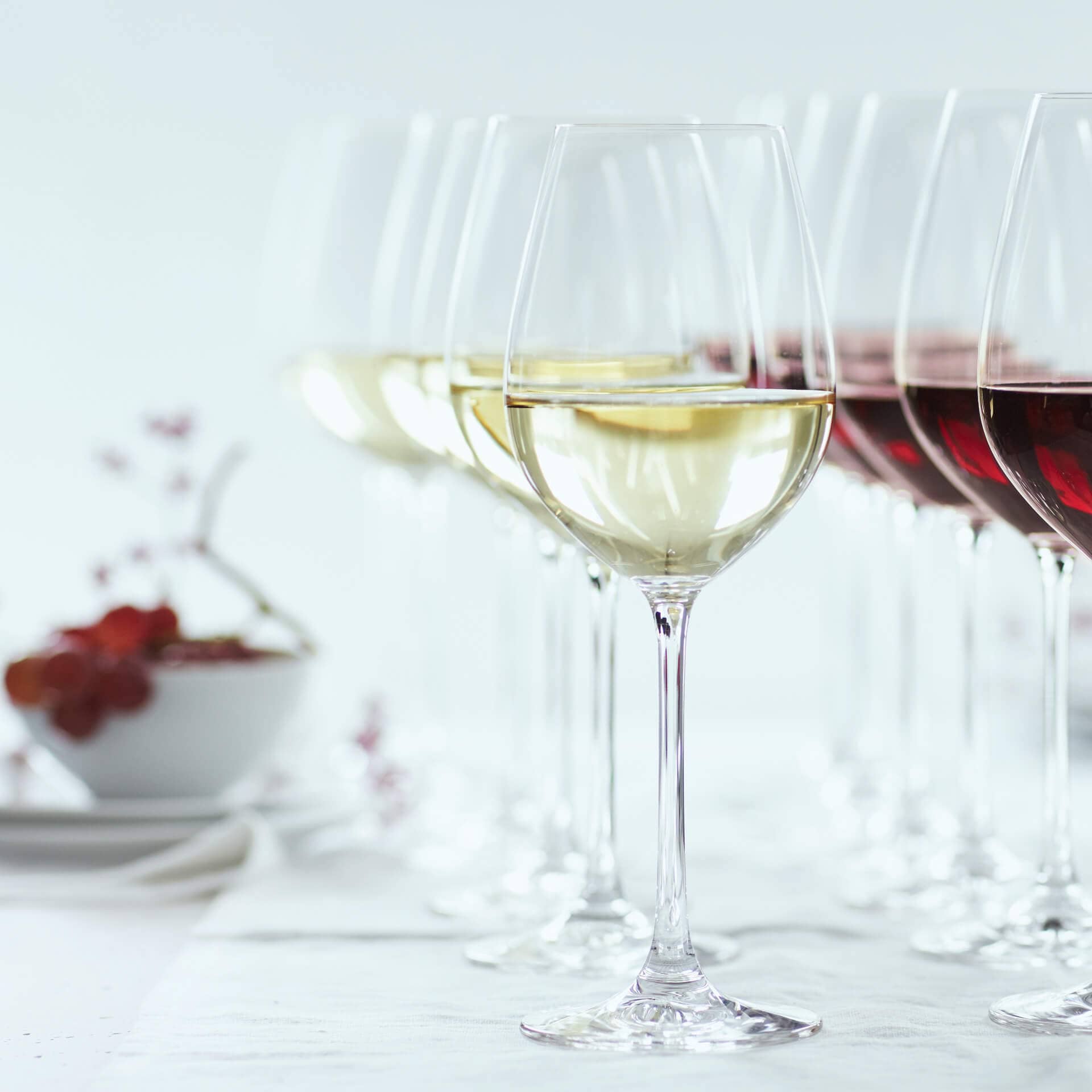 Verre à vin blanc Salute, Spiegelau - 465ml (1 pce)