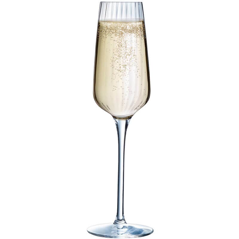 Coupe à champagne Symetrie, C&S - 210ml (6 pcs.)