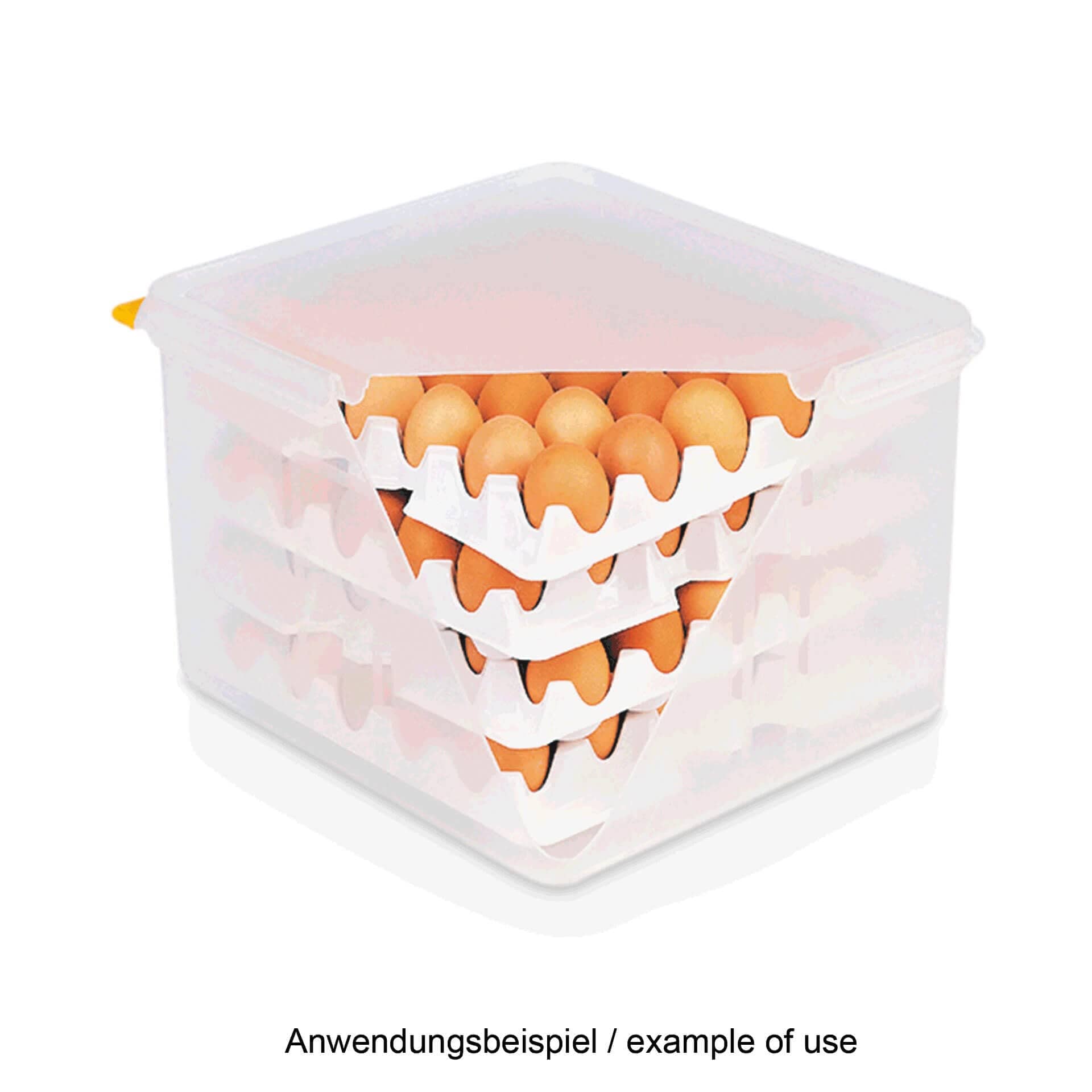 Egg container GN 2/3, polypropylene, 25 L – with 4 egg trays