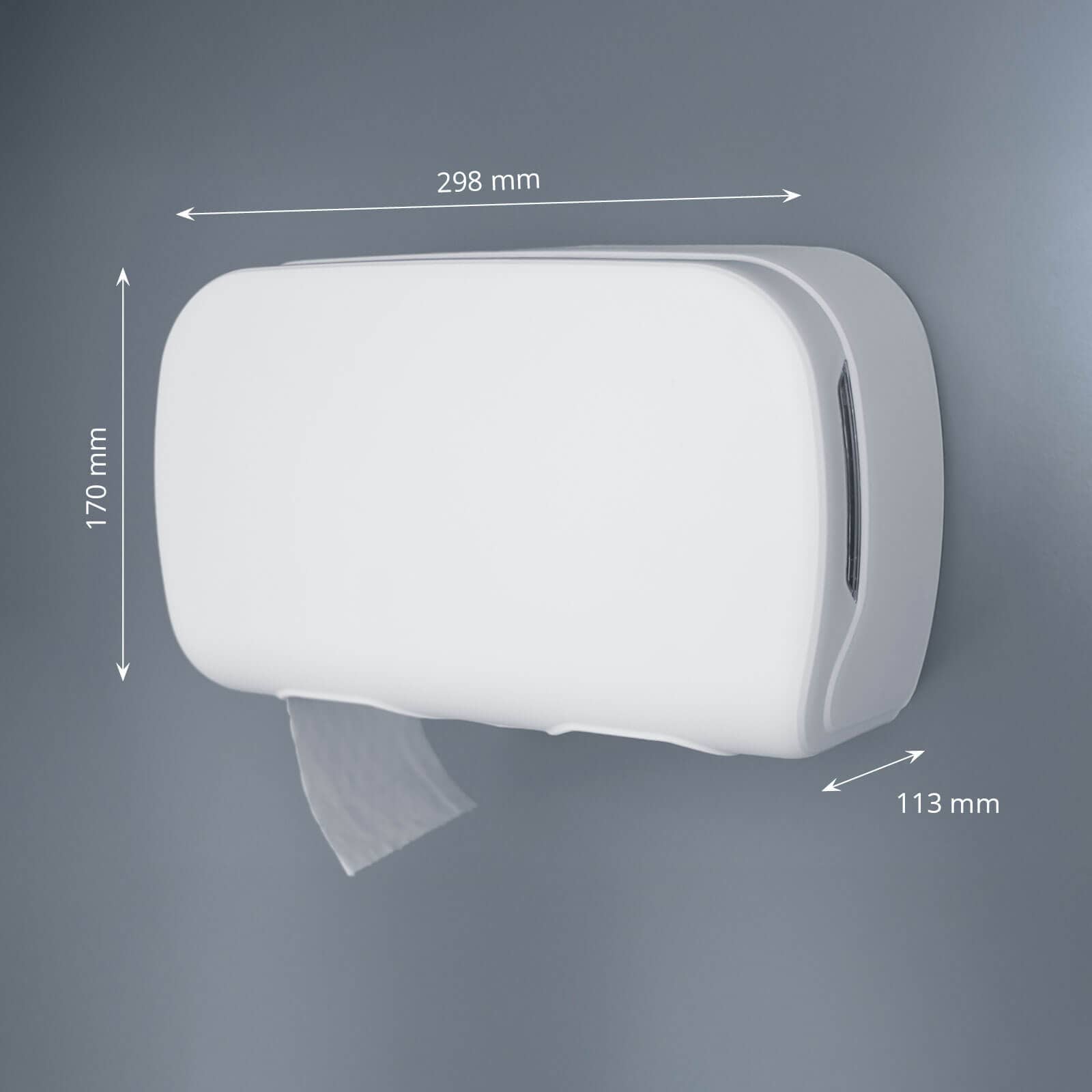 Toilet paper dispenser for 2 rolls - matte white
