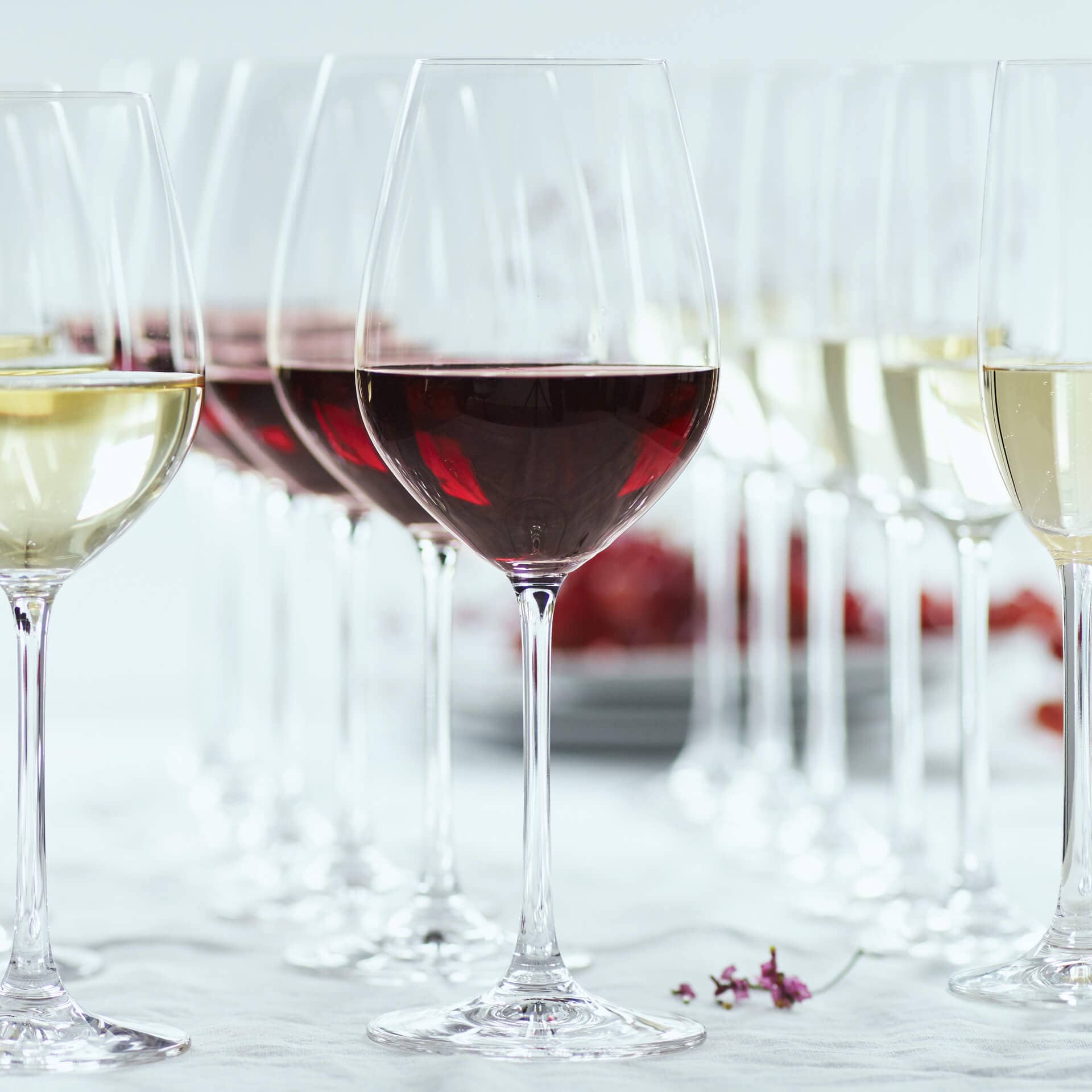 Verre à vin rouge Salute, Spiegelau - 550ml (1 pce)